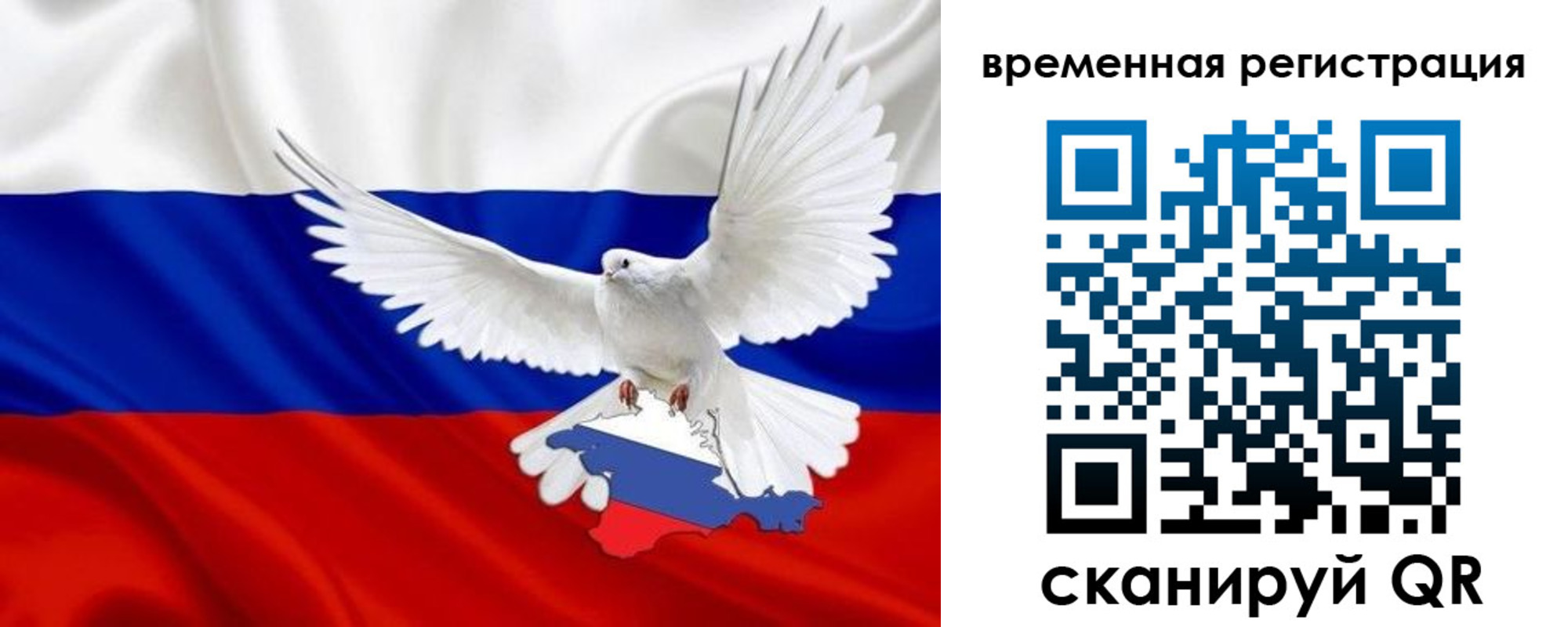 прописка законно в Сураже